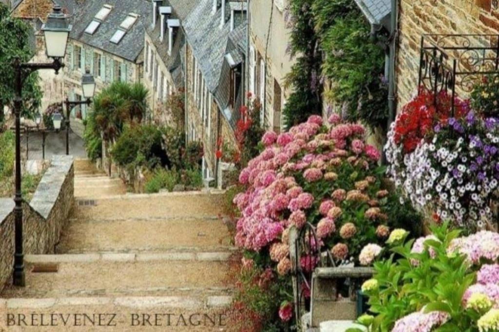 Maison Du Martin Pecheur A ลันยง ภายนอก รูปภาพ